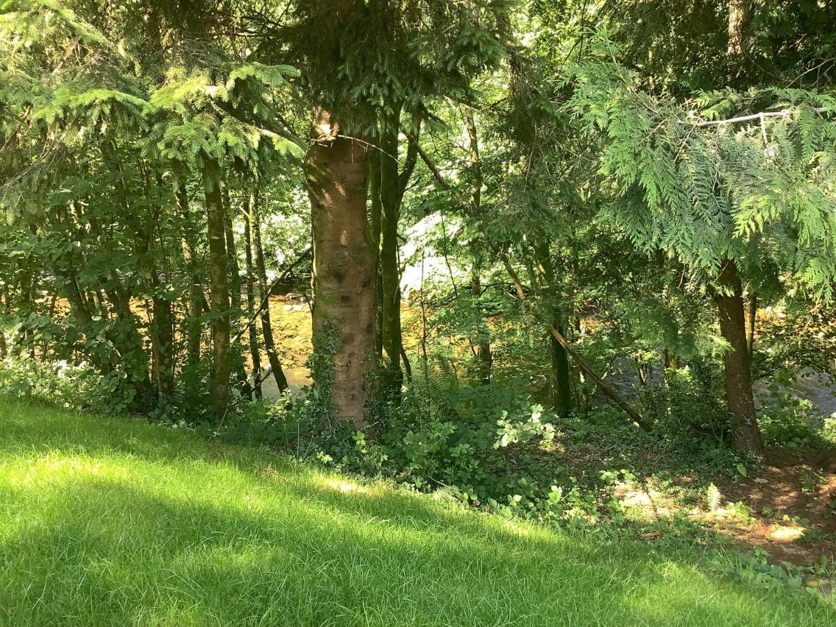 Little London Bed & Breakfast And Glamping Pod Ξενοδοχείο Abercraf Εξωτερικό φωτογραφία